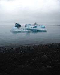 Scenic view of sea against sky during winter