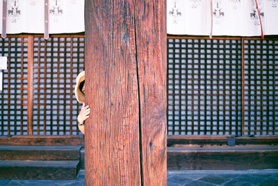 Close-up of tree trunk