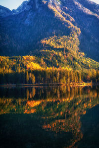 Scenic view of lake by trees during autumn