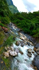 River flowing through rocks in forest