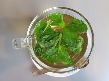 Directly above shot of drink on table