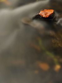 Close-up of rocks on rock