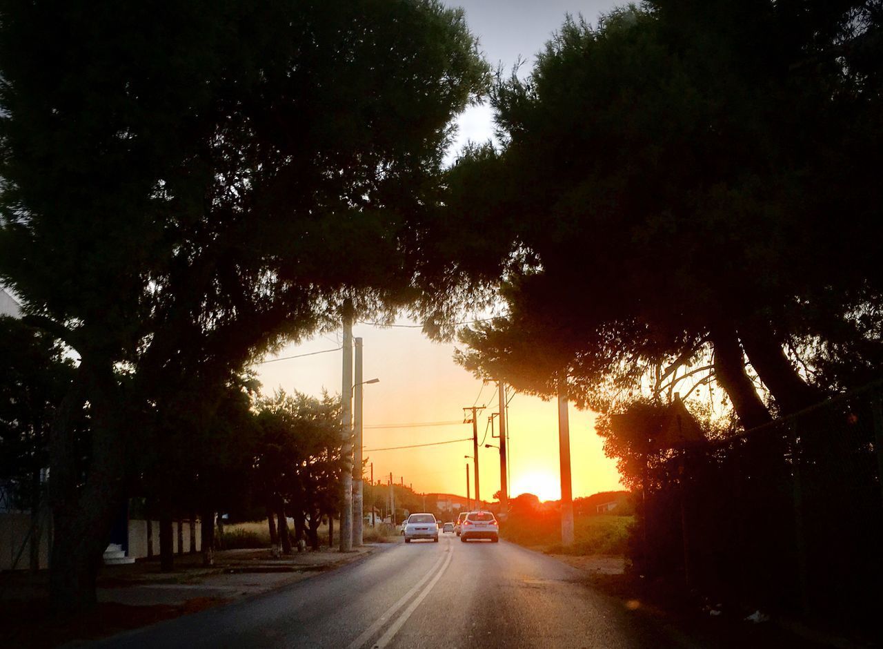 CARS ON ROAD AMIDST TREES AGAINST SKY