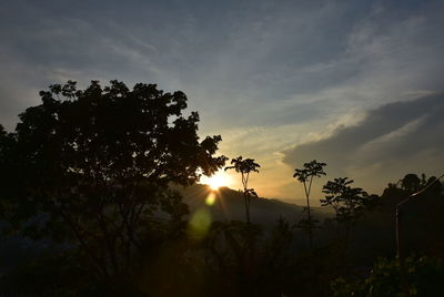 Silhouette trees against sky during sunset