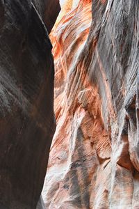 Kanarraville falls views  hiking trail waterfall kanarra creek canyon zion national park, utah, usa.