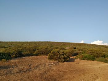 Scenic view of land against clear sky