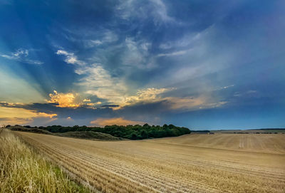 Scenic view of agricultural field against sky during sunset