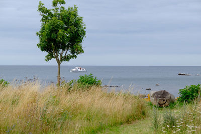 The island of bornholm in denmark