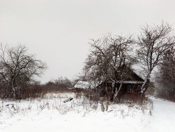 Bare trees on snow covered landscape against clear sky