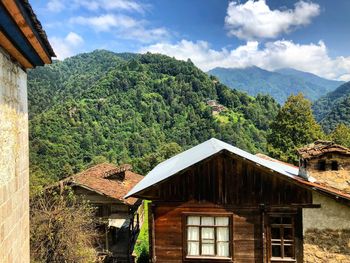 House against tree mountains