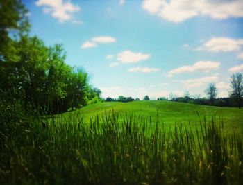 Scenic view of grassy field against cloudy sky