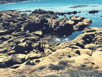 High angle view of rocks on beach