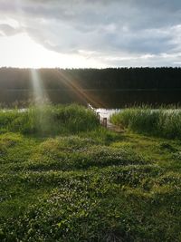 Scenic view of field against sky