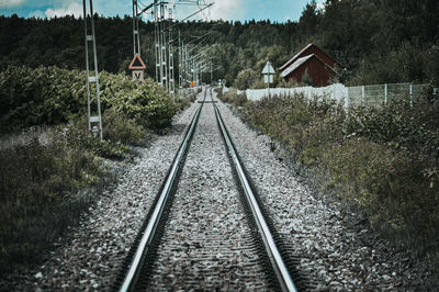 Railroad tracks amidst trees