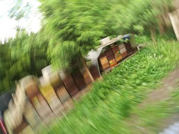 Blurred motion of train in amusement park