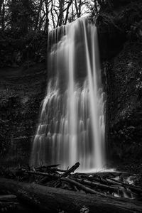 Scenic view of waterfall in forest