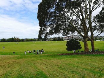 People sitting on field against sky