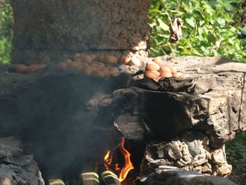 Close-up of bonfire