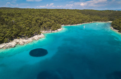 High angle view of sea and trees against sky