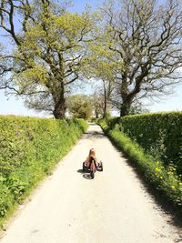 Girl riding tricycle on footpath against trees