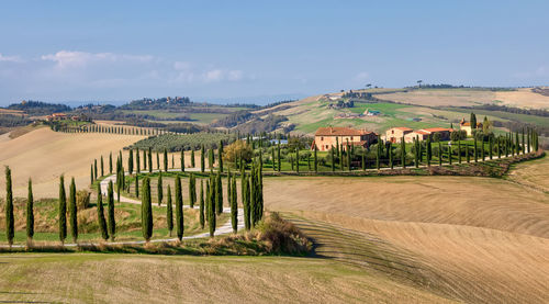 Scenic view of agricultural field against sky