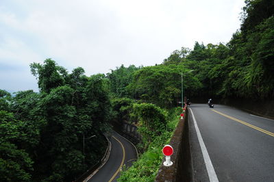 Panoramic shot of country road along trees