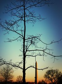 Low angle view of bare trees against sky at sunset