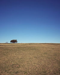 Scenic view of field against clear blue sky