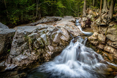 View of waterfall in forest