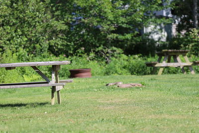 View of empty bench in park