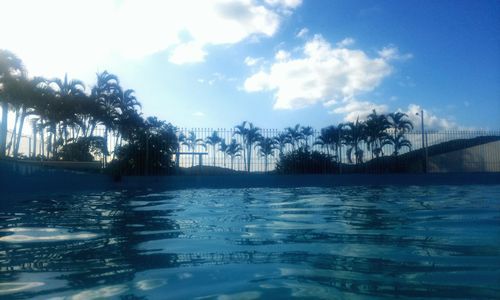 Swimming pool by trees against sky