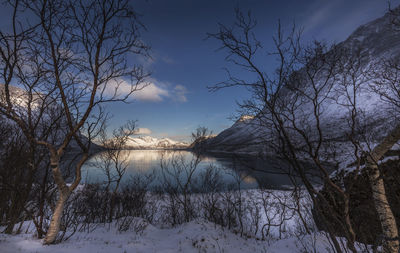 View of bare trees by lake against sky during sunset