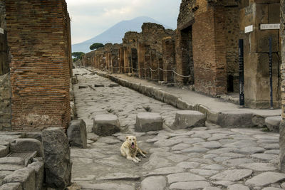 View of old ruins against sky