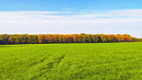 Scenic view of field against sky during autumn