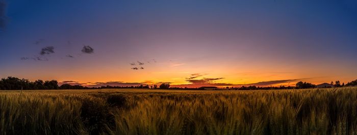 Scenic view of field against sky at sunset