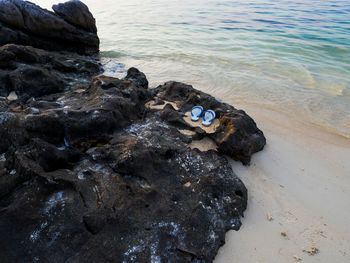 Rocks on shore at beach