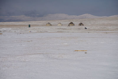 Grassland in kyrgyzstan after snowing