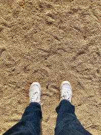 Low section of man standing on sand