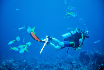 Man with fishes scuba diving in sea