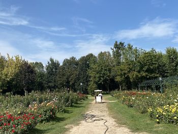 Scenic view of flowering plants in park against sky