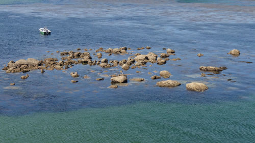 High angle view of rocks on beach