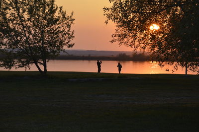 Silhouette of man on tree at sunset