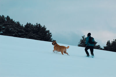 Rear view of dogs on snow field against sky