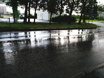 Wet road by trees against sky