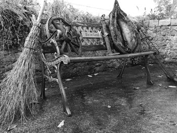 Man working on tree