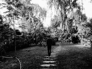 Rear view of woman walking on tree