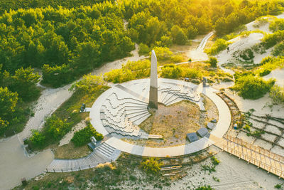 High angle view of trees in city