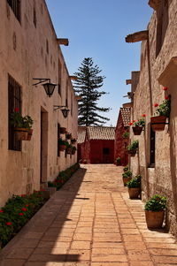 Street amidst buildings in town