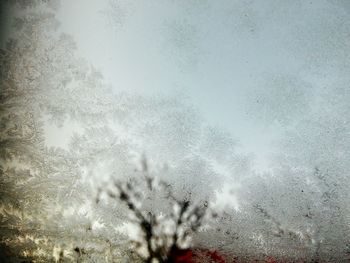 Close-up of water drops on glass