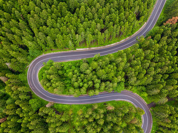 High angle view of winding road amidst trees